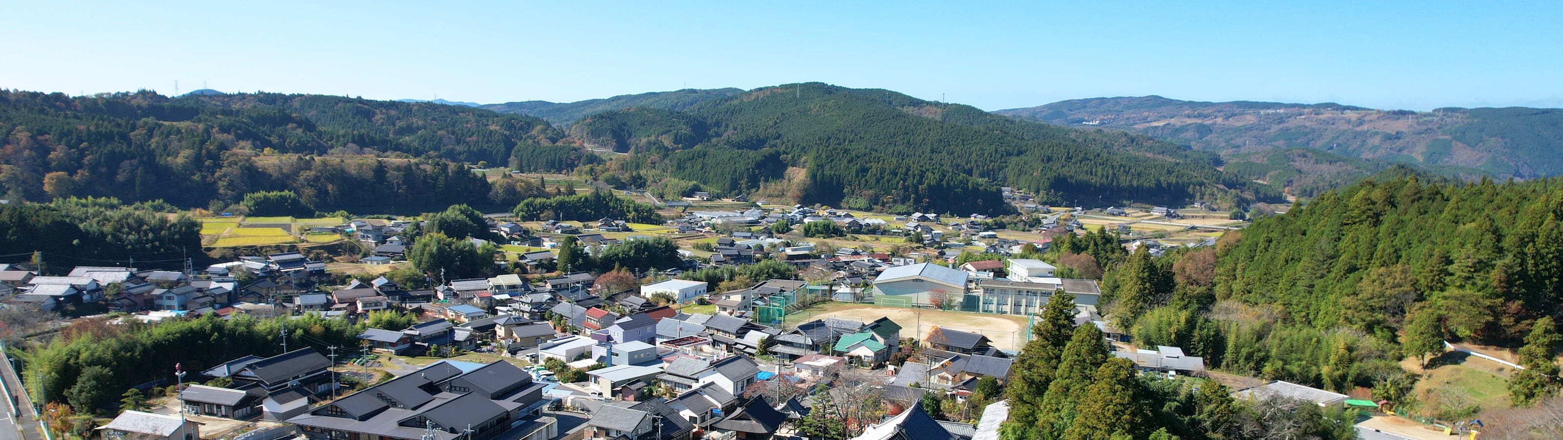 カテゴリービジュアル