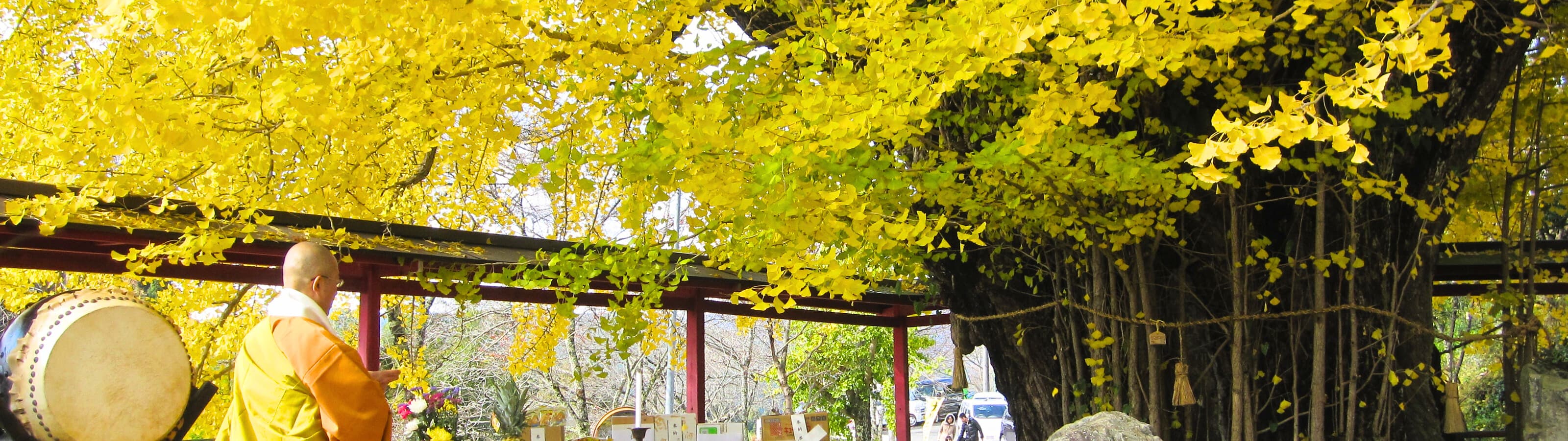 移住の流れのメインビジュアル