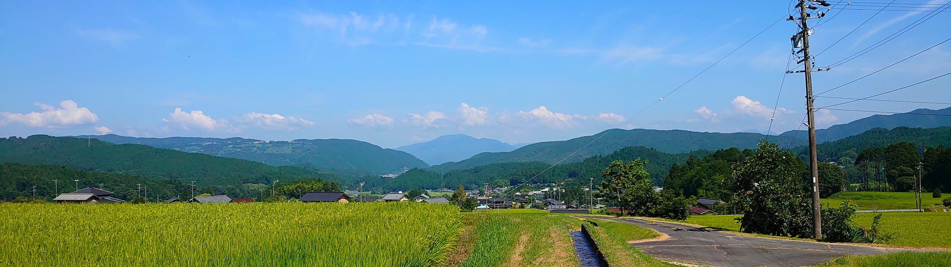 プライバシーポリシービジュアル