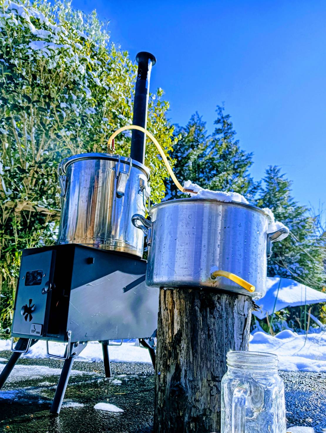 野草を煮ている所