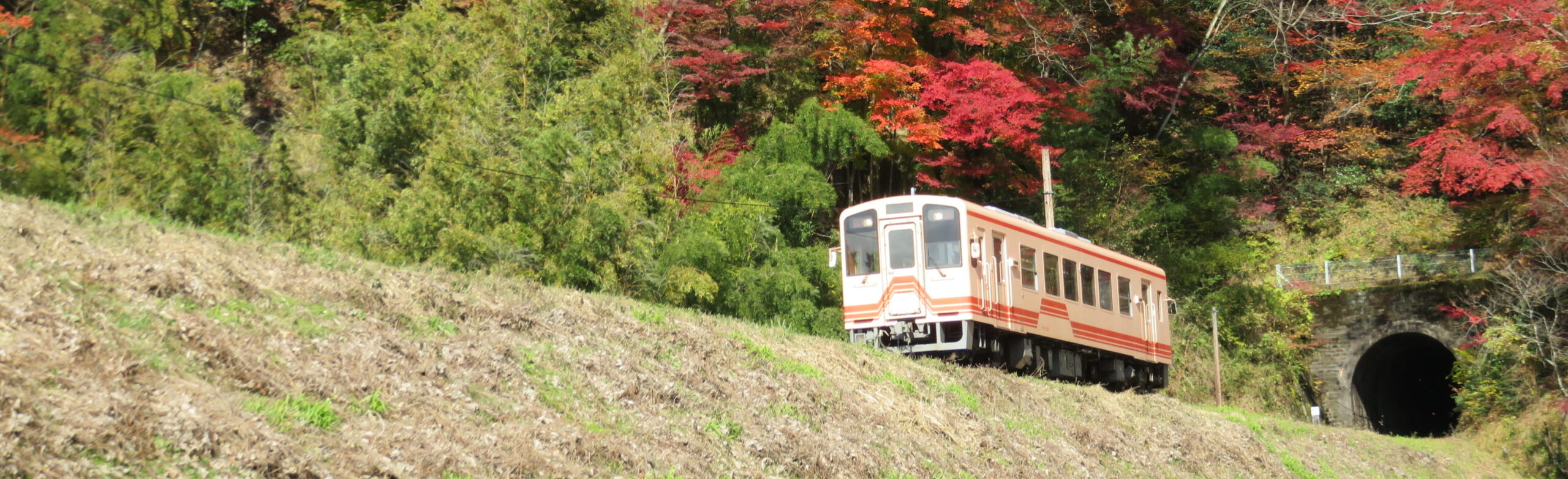 秋の明知鉄道