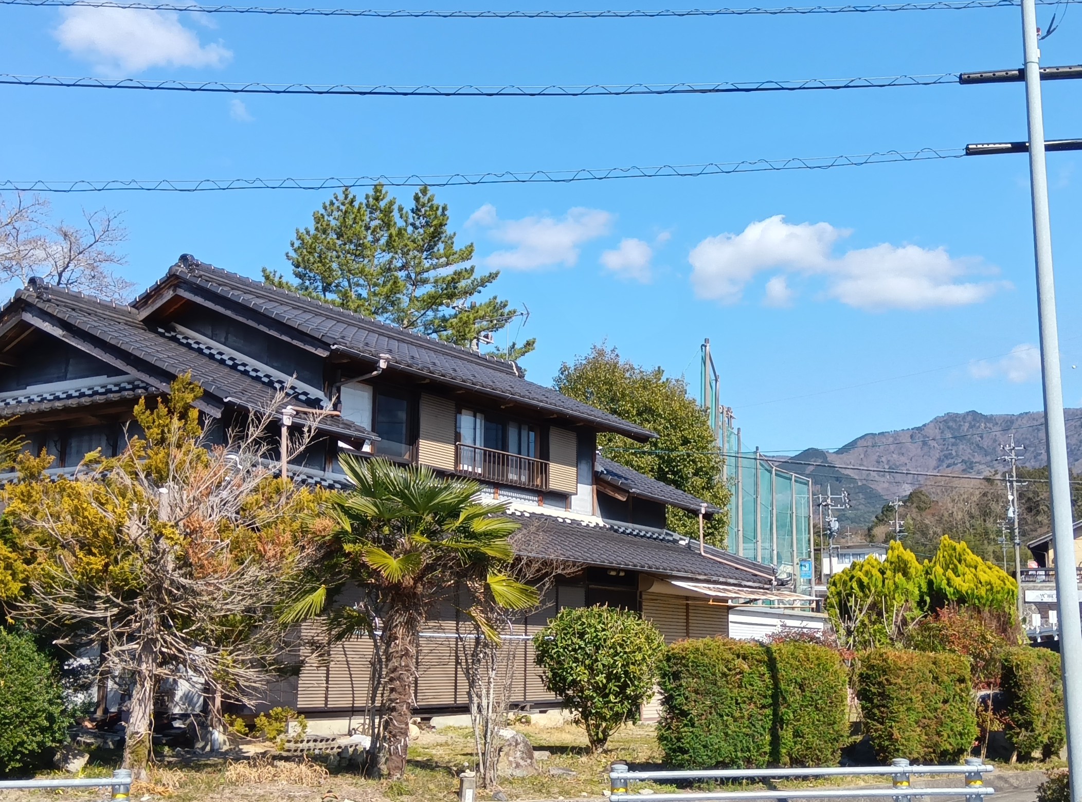 ギャラリー画像