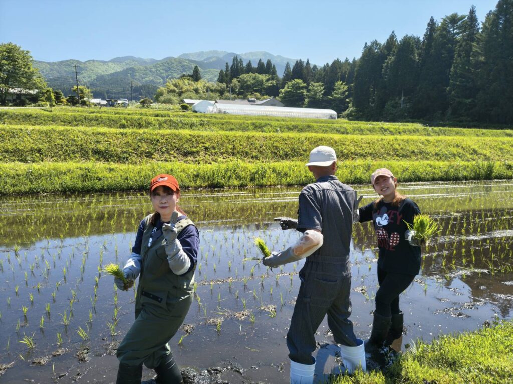 田植え風景