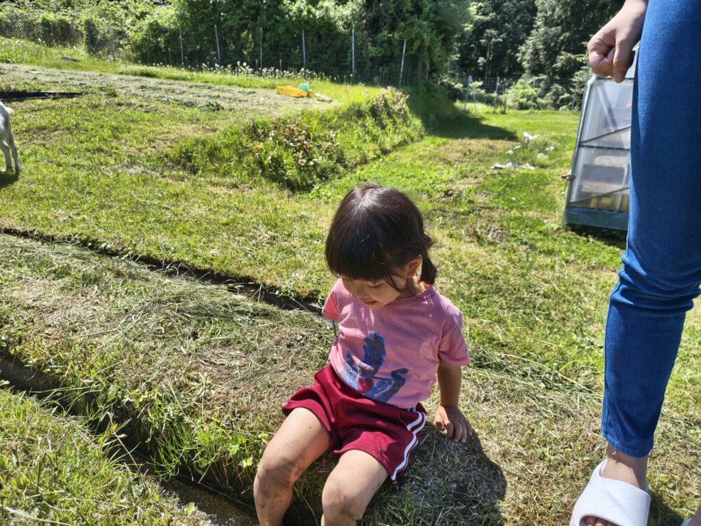 田植え体験をする子供