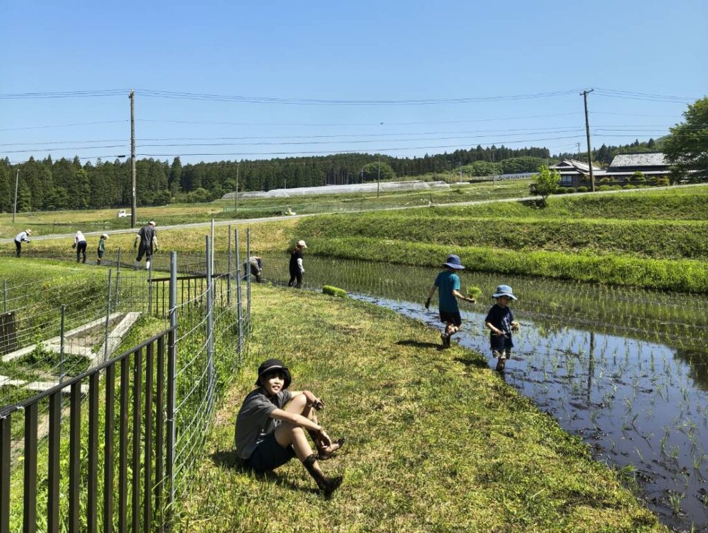 田植え風景