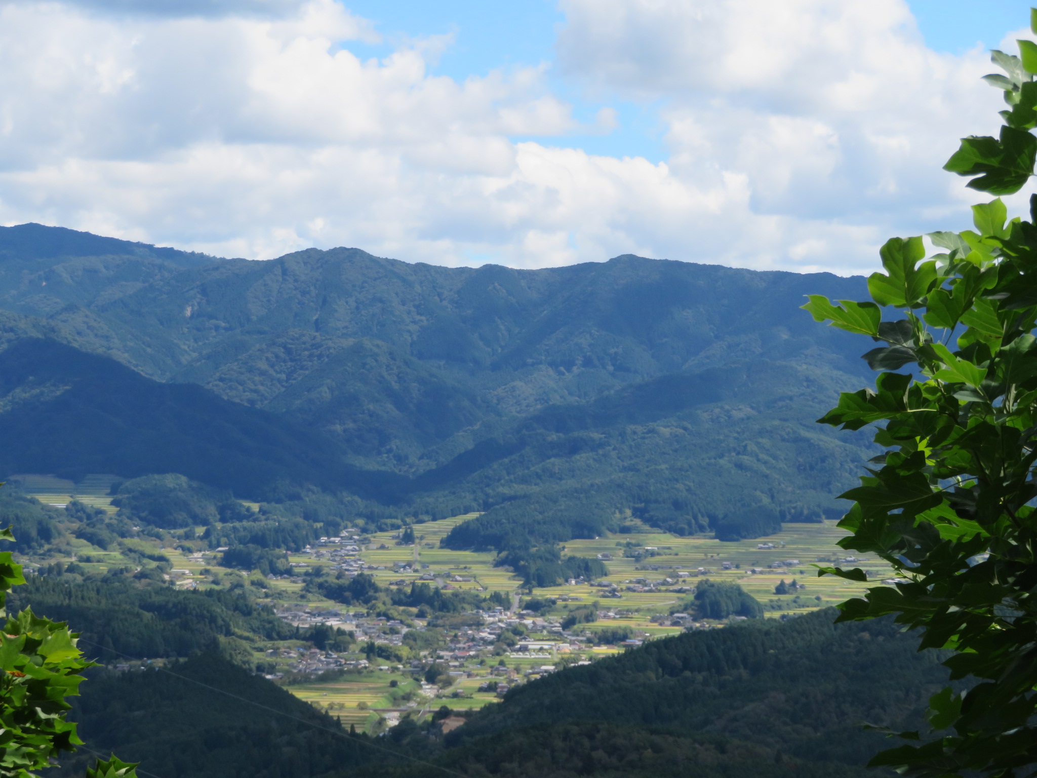 阿木の景色